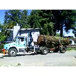 lotruck