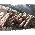 logpile