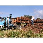 logs