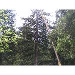 highlift