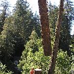 loglift