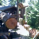 redwoood logs
