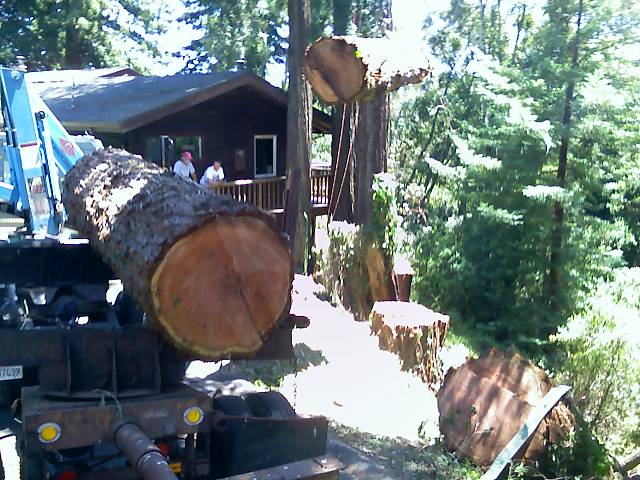 Redwoodlogload