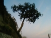 1020081830a