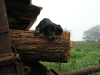 Luke wating to go to work