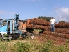 logs