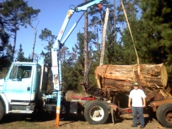log loading