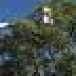 trimming