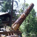 redwood logs