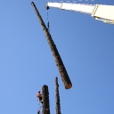 crainwork tree removal