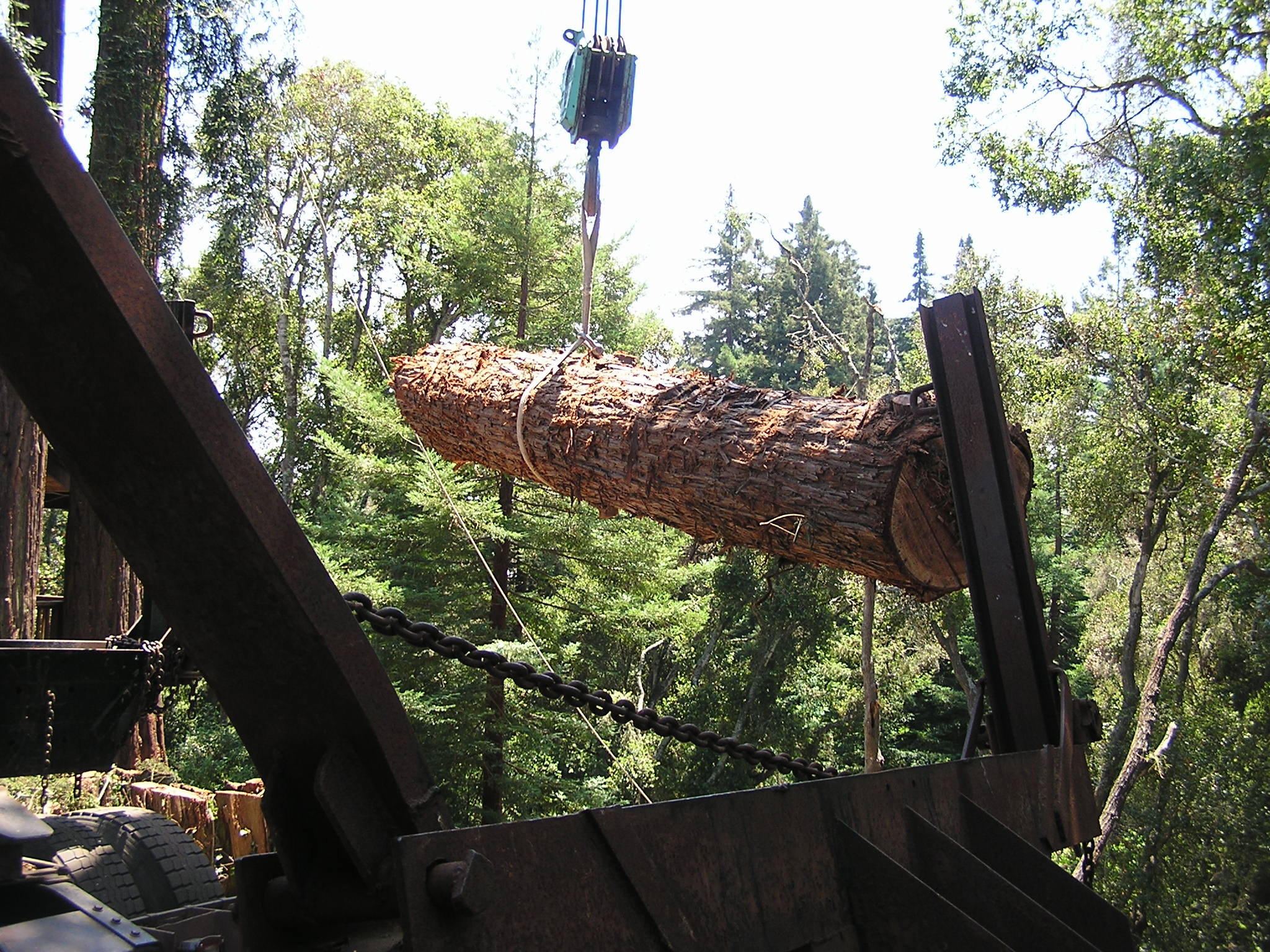 Santa cruz Tree Service loads redwood logs