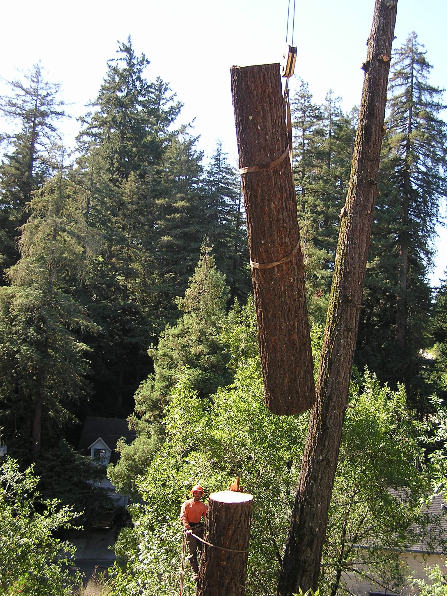Redwood log lift
