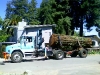 Redwoodlogtruck