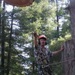 ted jeti tree removal